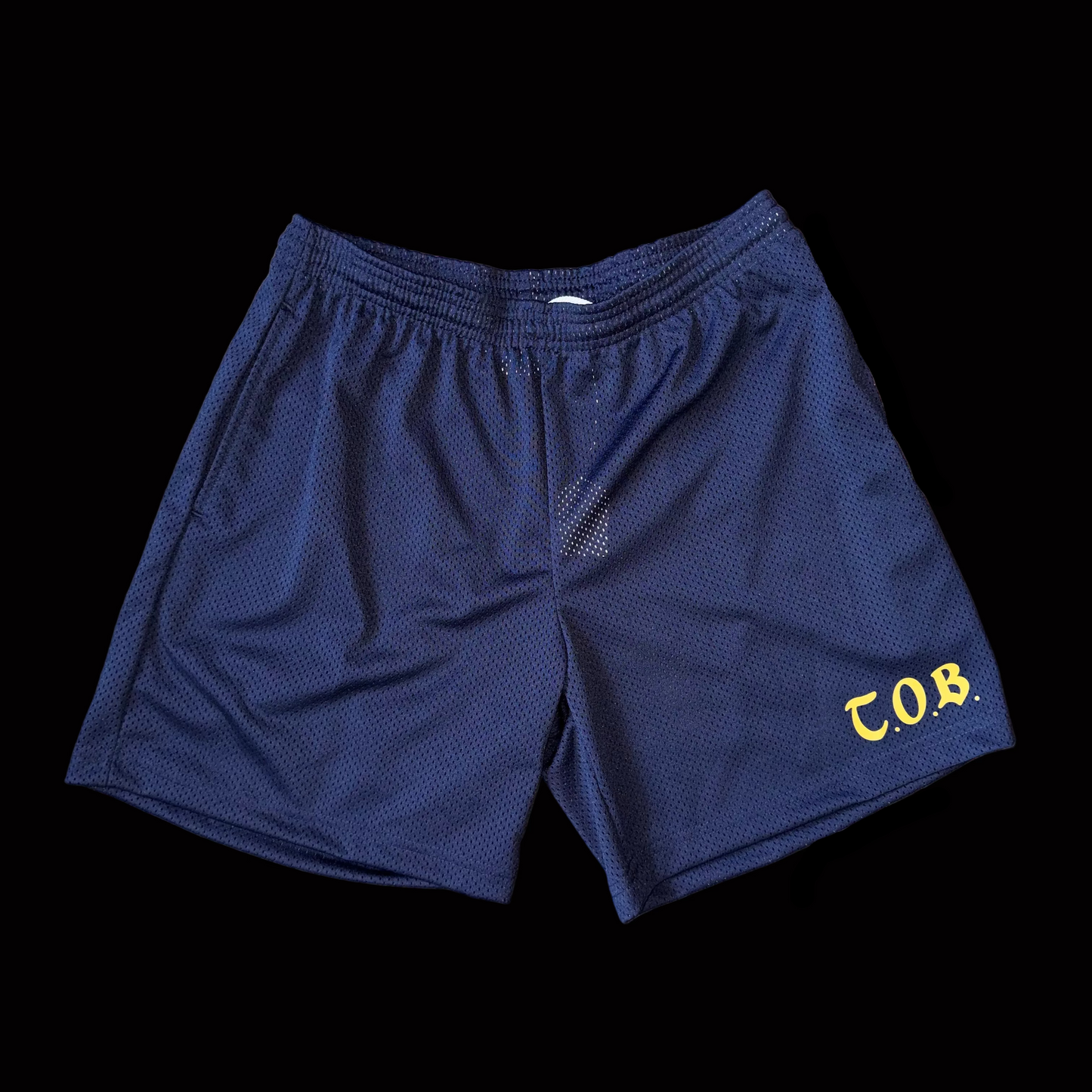 Old School Mesh Shorts